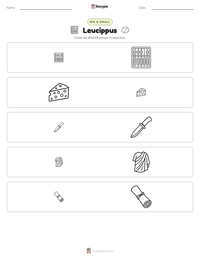 Leucippus printable worksheet preview