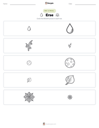 Ersa printable worksheet preview