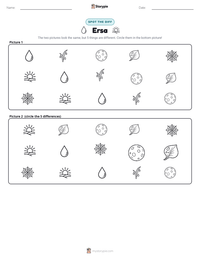 Ersa printable worksheet preview