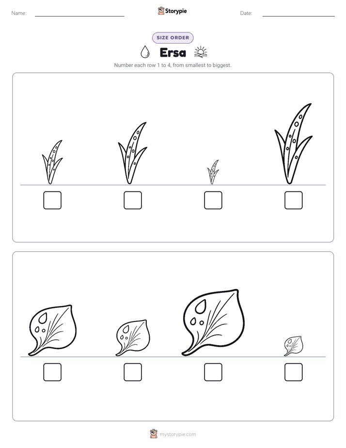 Size Order