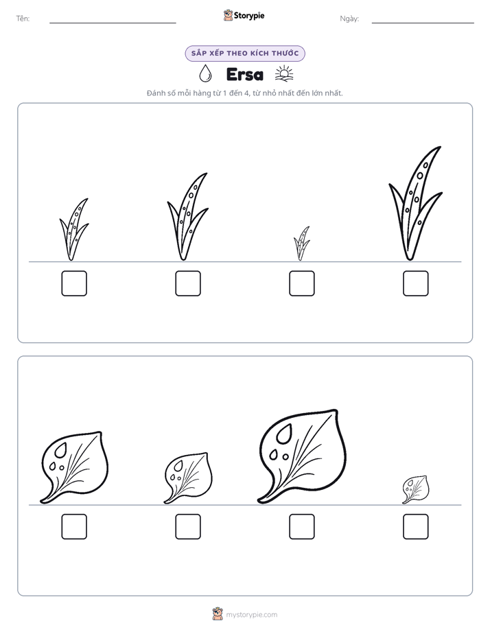 Thứ Tự Kích Thước