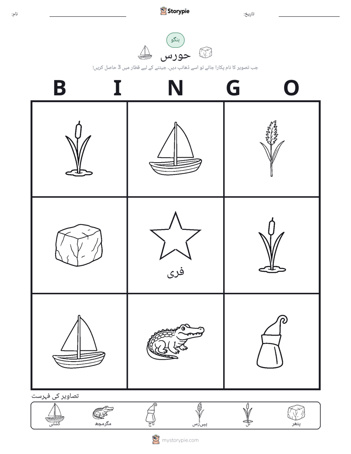 تصویری بنگو