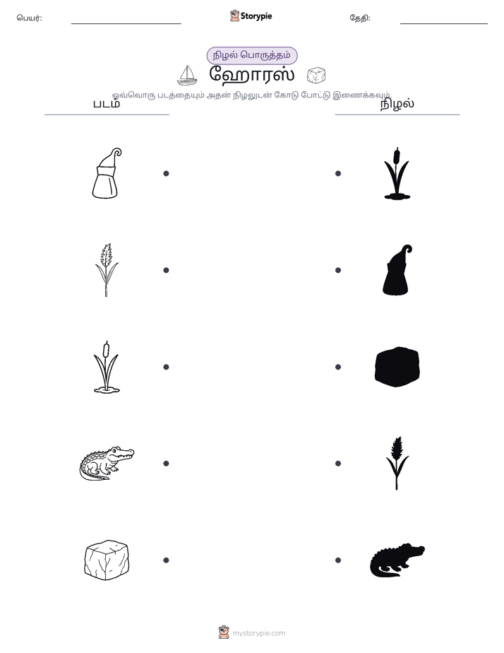 நிழல் பொருத்தம்