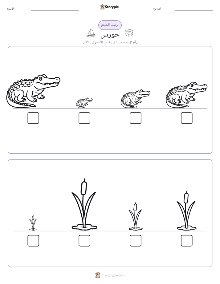 ترتيب الحجم