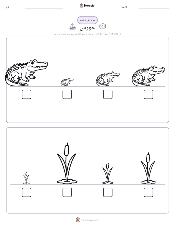 سائز کی ترتیب