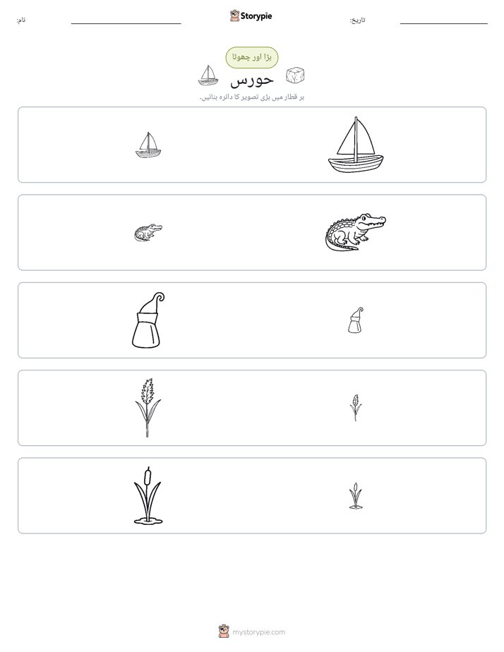 ترتیب دینا