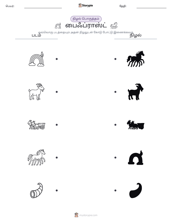நிழல் பொருத்தம்