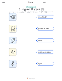 மஞ்சள் பேரரசர் அச்சிடக்கூடிய வேலைப்பதிவின் முன்னோட்டம்