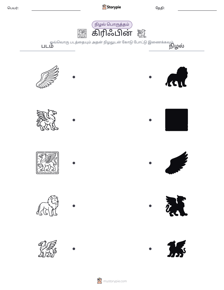 நிழல் பொருத்தம்