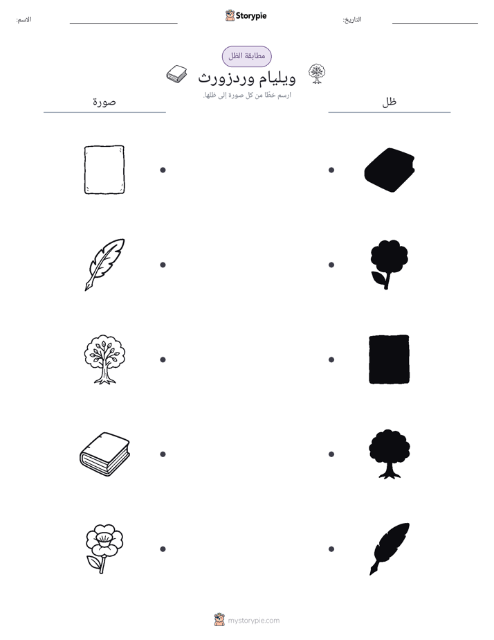 مطابقة الظل