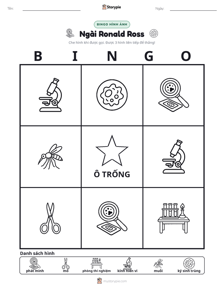 Bingo Hình Ảnh