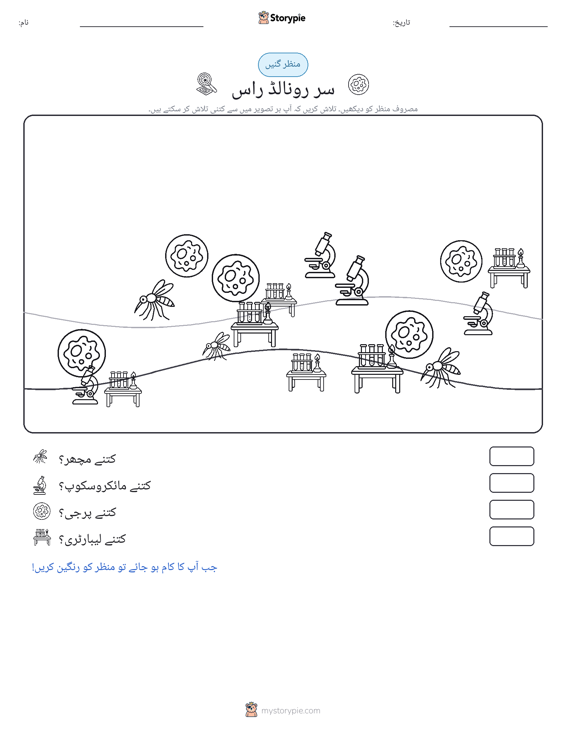گنتی کا منظر