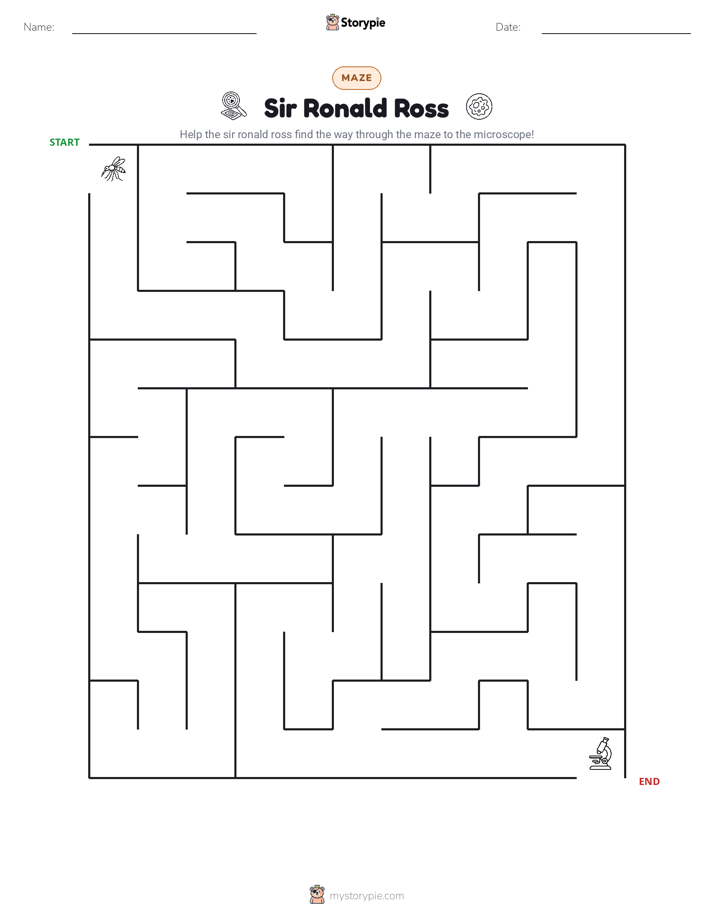 Maze