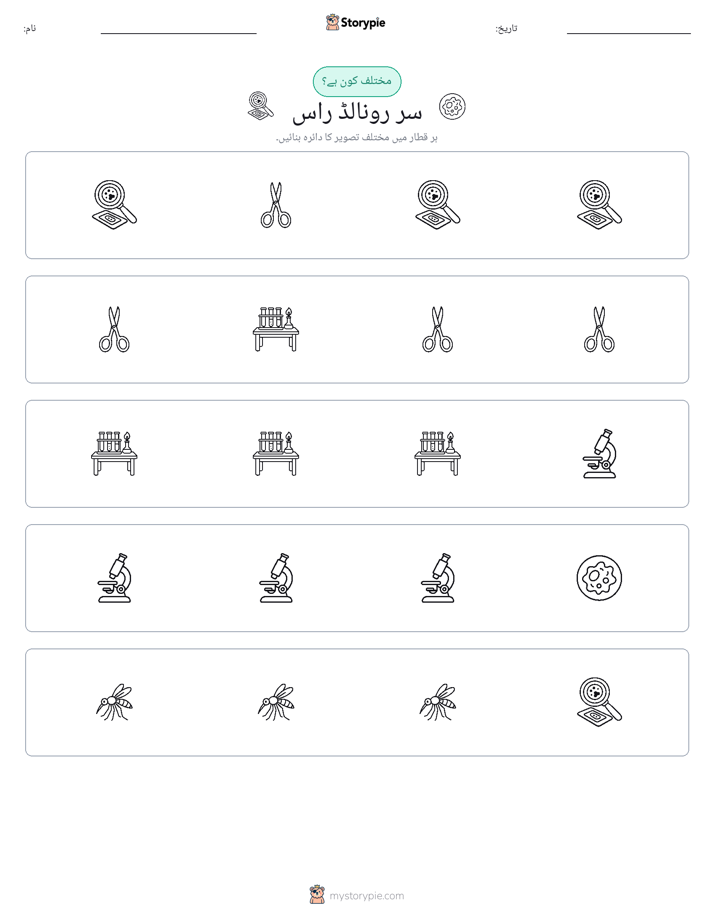 عجیب ایک
