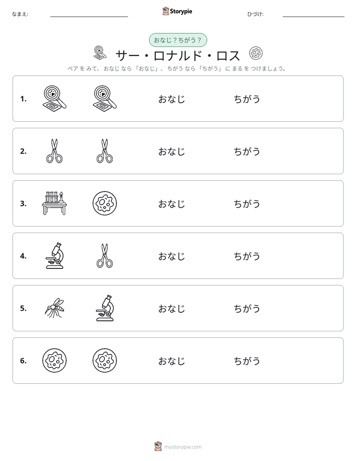 同じか違うか