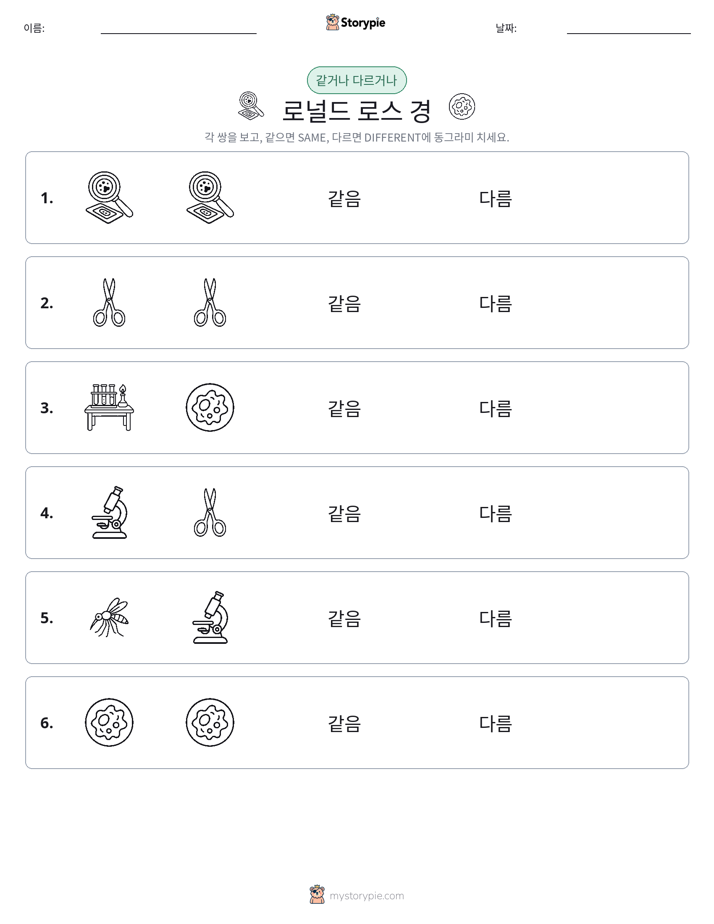 같은 것 또는 다른 것