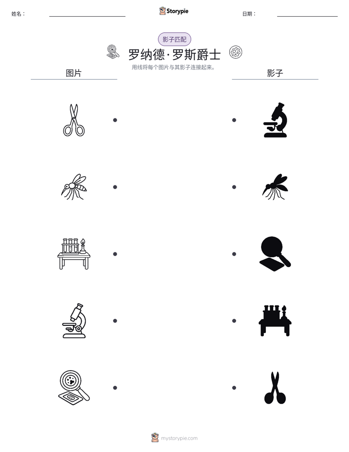 影子匹配