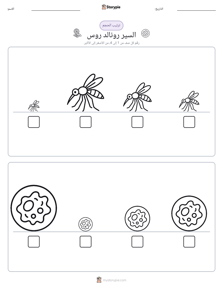 ترتيب الحجم