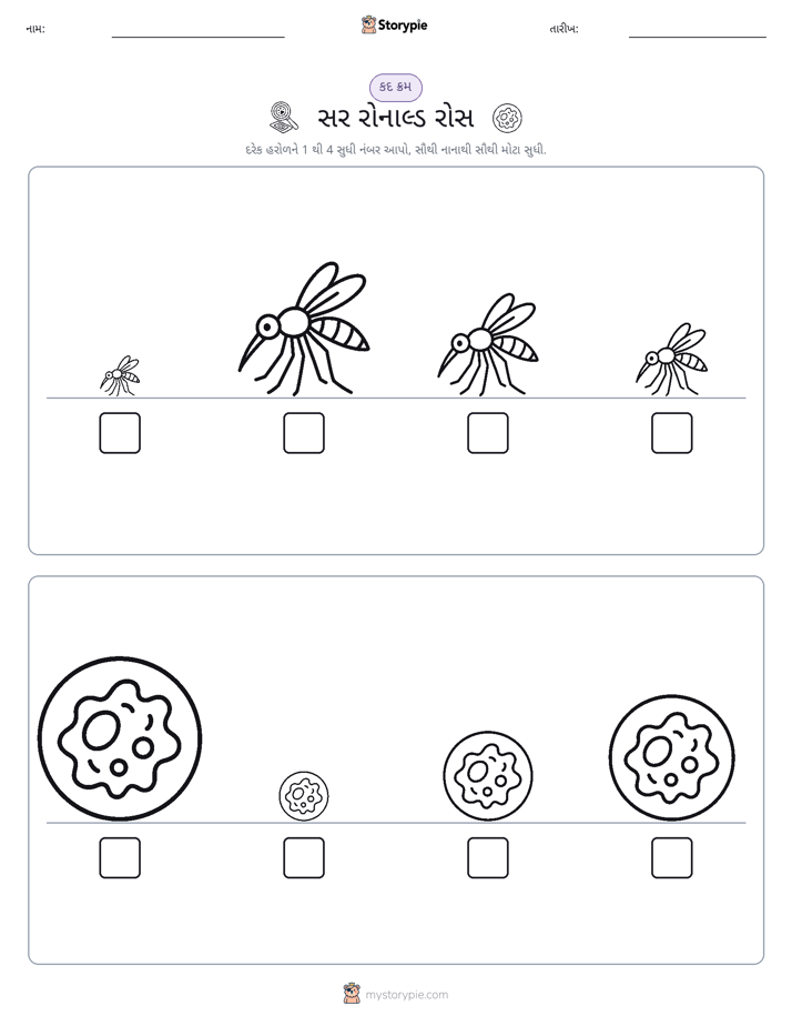 આકાર ક્રમ
