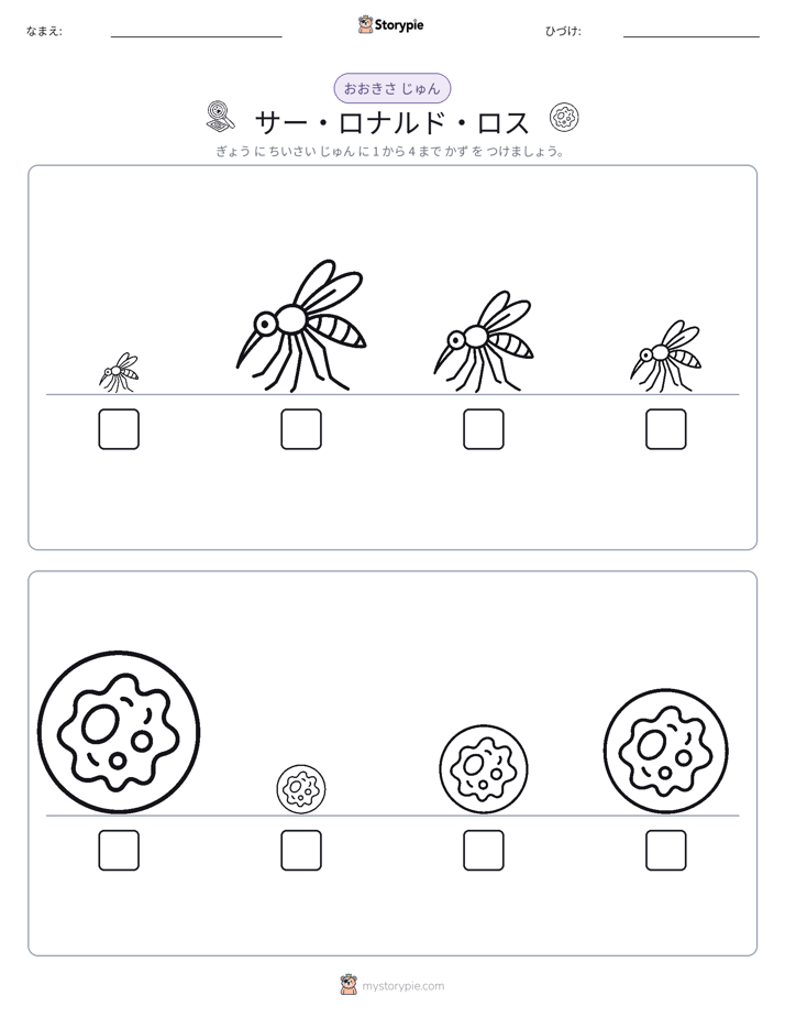 サイズ順
