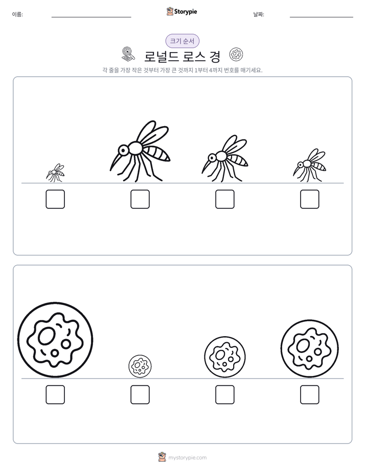 크기 순서