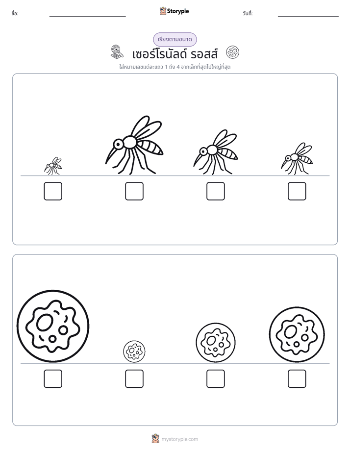 ลำดับขนาด