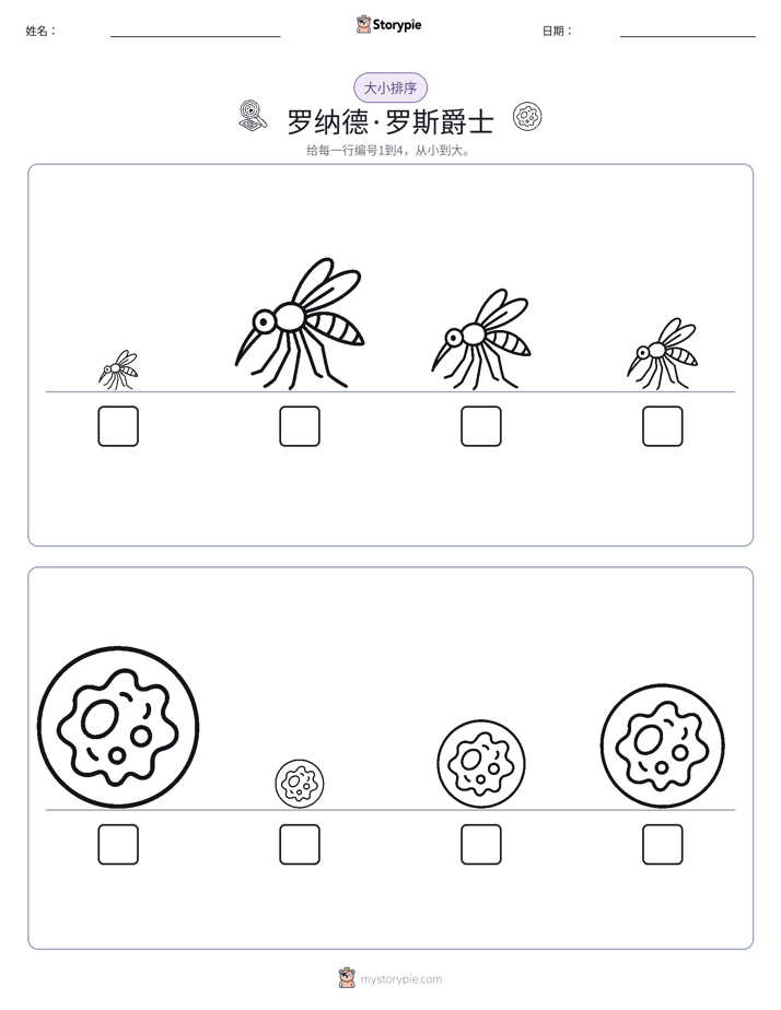 大小排序