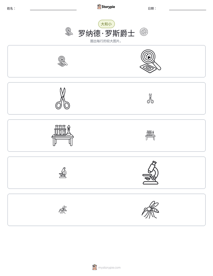 分类