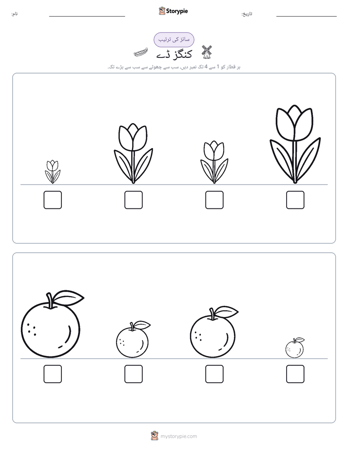 سائز کی ترتیب