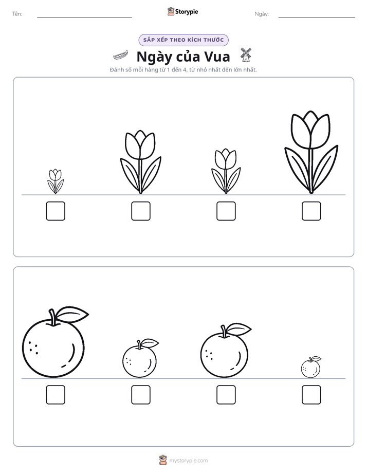 Thứ Tự Kích Thước