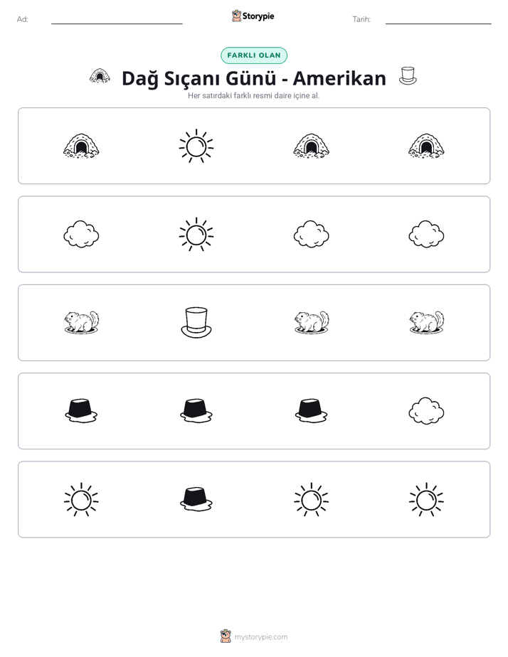 Farklı Olanı Bul