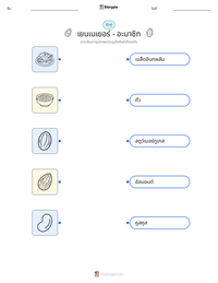 เยนเนเยอร์ - อะมาซิก ตัวอย่างแบบฝึกหัดที่พิมพ์ได้