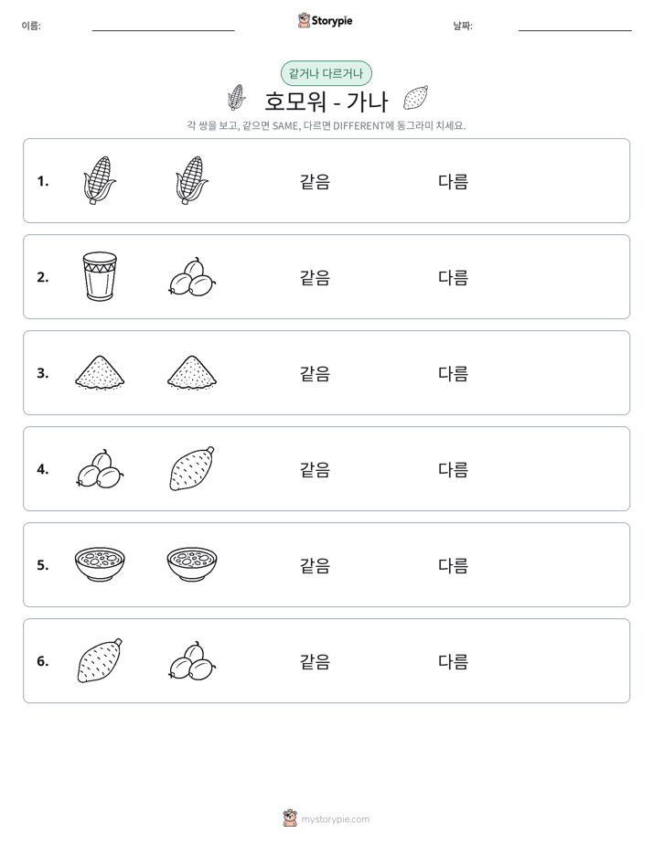 같은 것 또는 다른 것