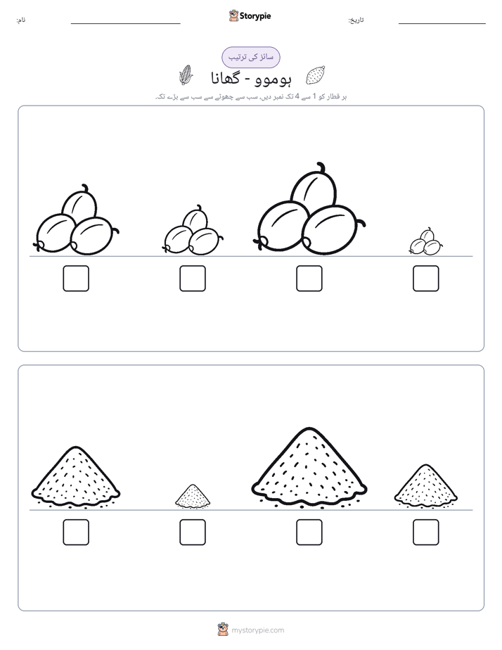 سائز کی ترتیب