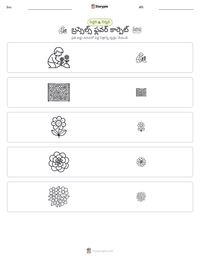 బ్రస్సెల్స్ ఫ్లవర్ కార్పెట్ ముద్రించదగిన పని పత్రం ప్రివ్యూ