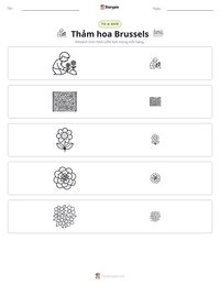 Xem trước tài liệu in sẵn Thảm hoa Brussels