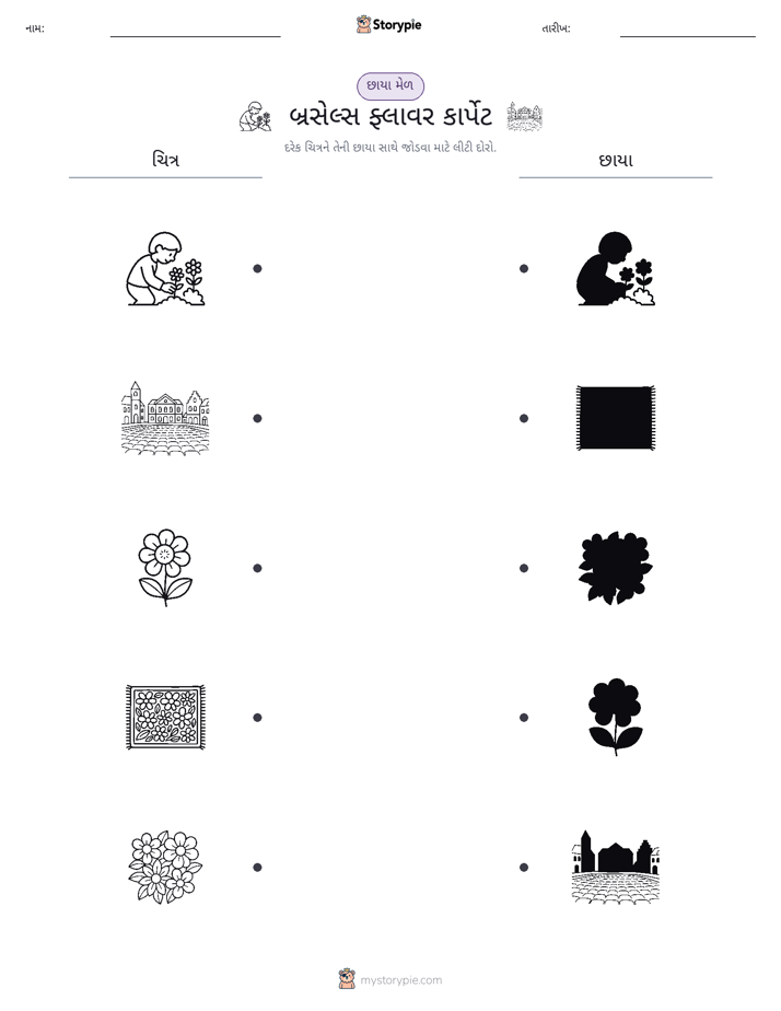 શેડો મેચ