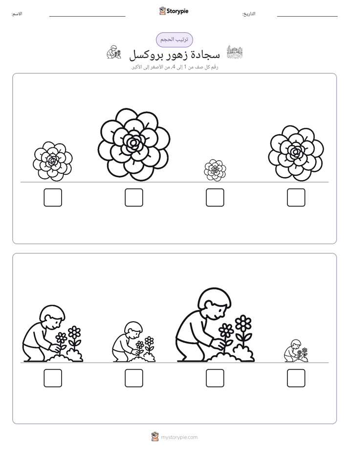 ترتيب الحجم
