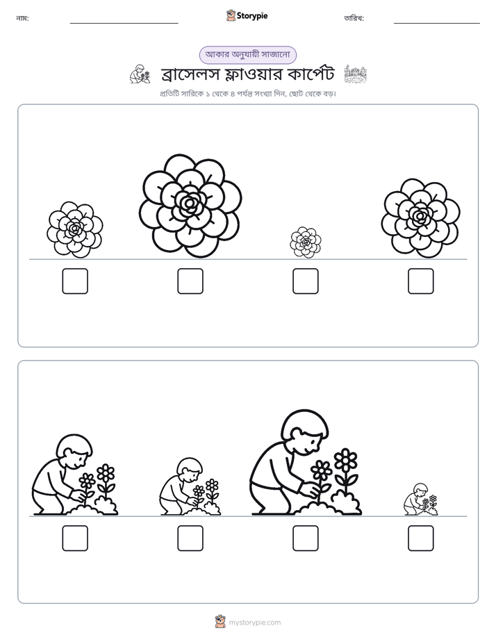 আকারের ক্রম