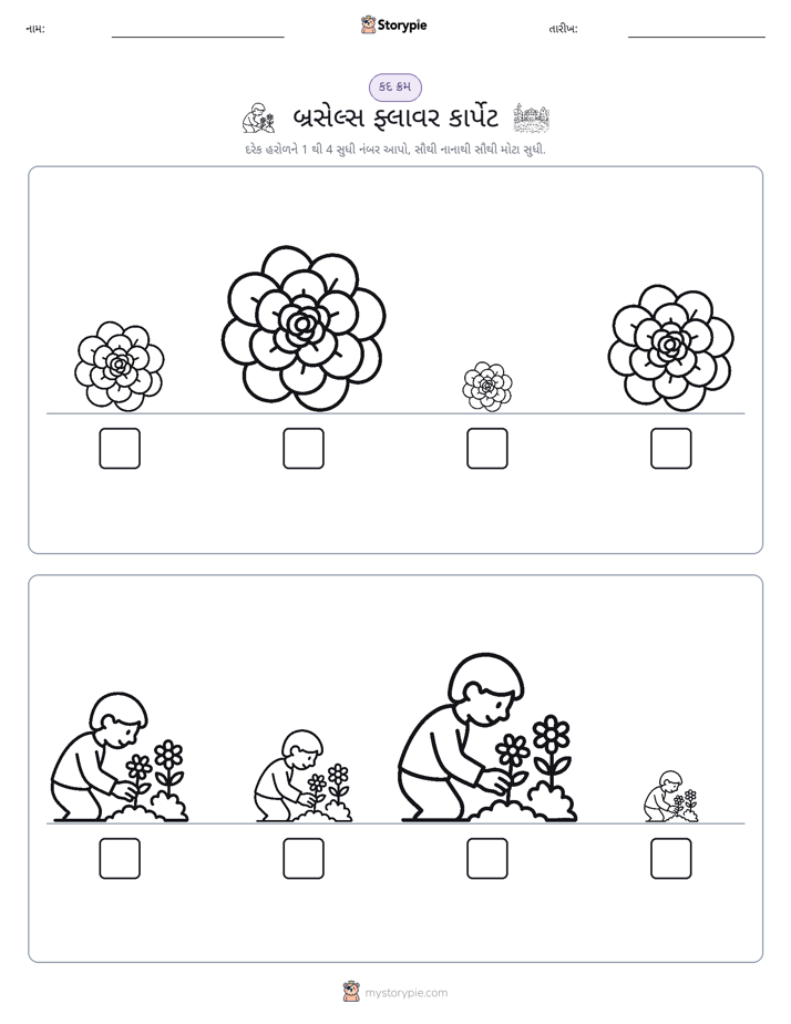 આકાર ક્રમ