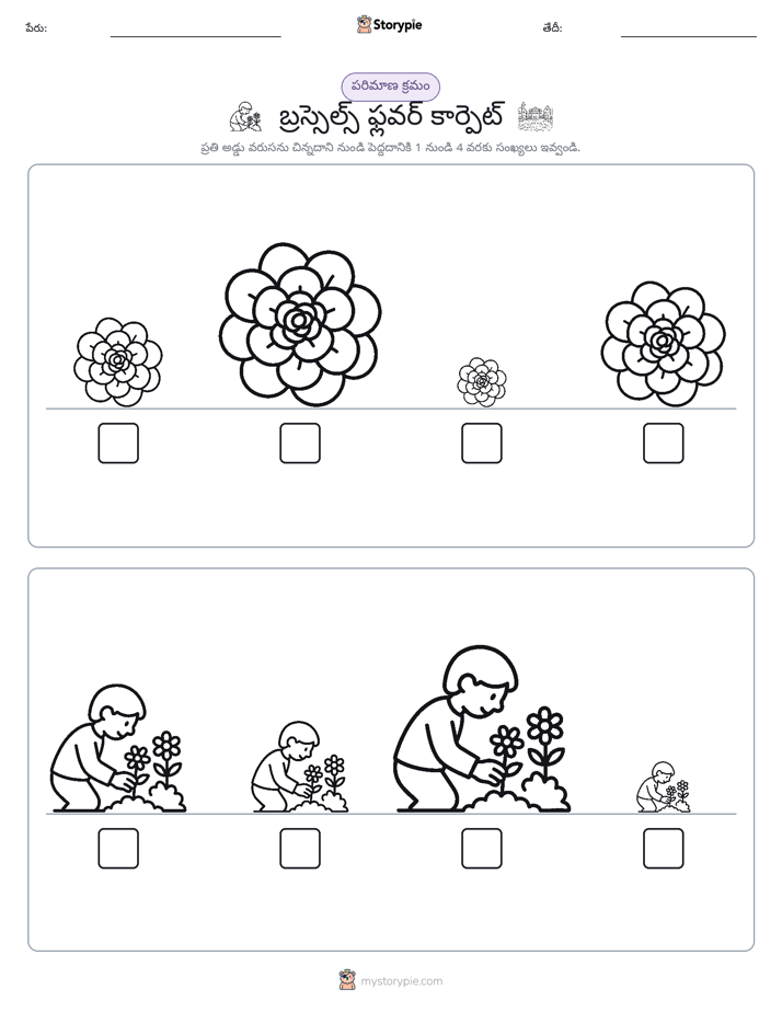 పరిమాణం క్రమం