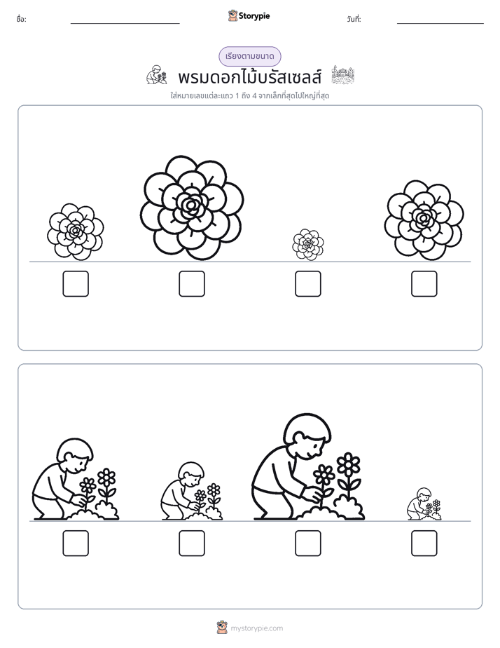 ลำดับขนาด