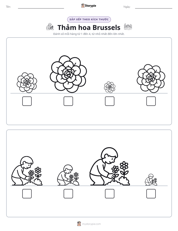 Thứ Tự Kích Thước