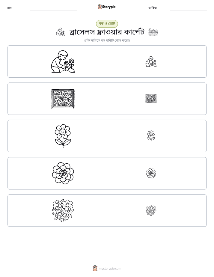 সাজানো