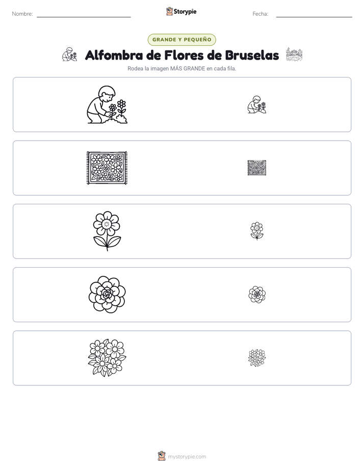 Clasificación
