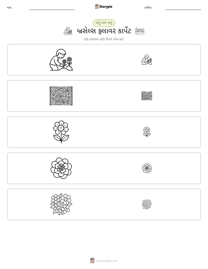વર્ગીકરણ