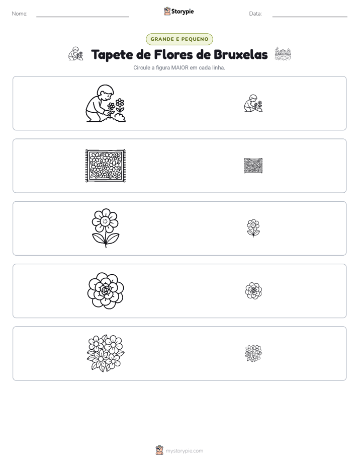 Classificação