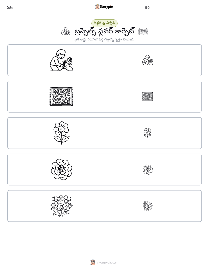వర్గీకరణ