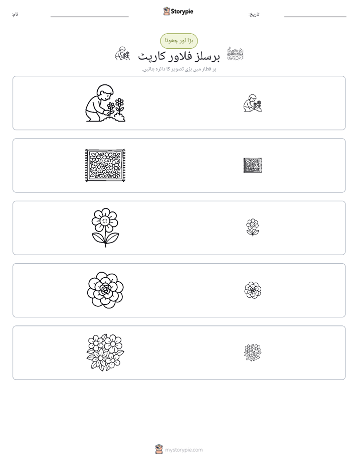 ترتیب دینا