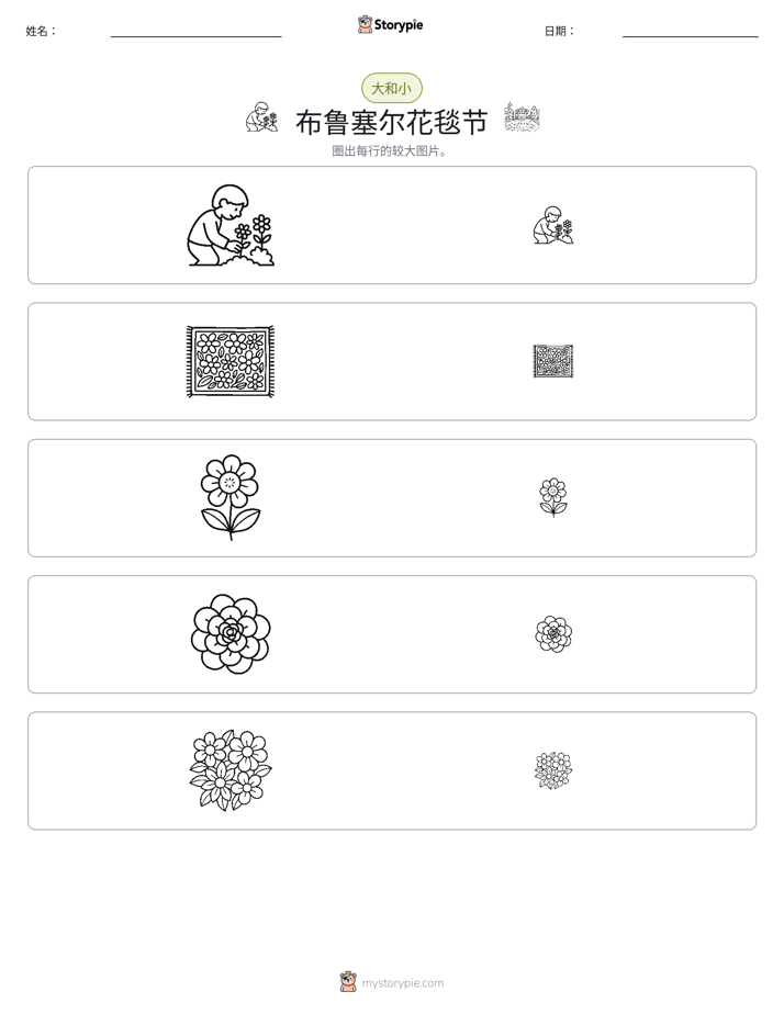 分类